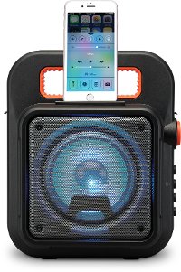 iLive Portable Wireless Speaker with FM Radio-4