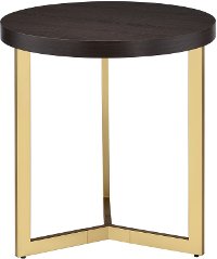 Contemporary Espresso and Brass End Table - Harper