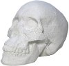 White Faux Marble Look Skull Tabletop Sculpture