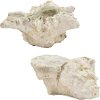 Assorted Off White Faux Shell Planter