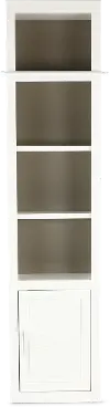 Catrina White 22 Bookcase with Reversible Door