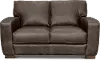 Dakota Brown Leather Loveseat