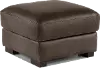 Dakota Brown Leather Ottoman