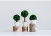 Assorted Faux Green Preserved Boxwood Topiary Arrangement