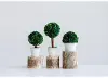 Clearance Assorted Faux Green Preserved Boxwood Topiary Arrangement