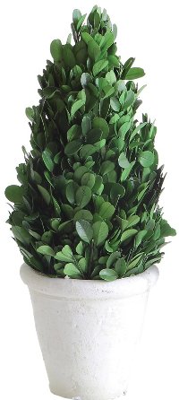 11 Inch Green Preserved Boxwood Cone Topiary Arrangement