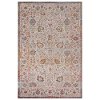 5 x 8 Medium Beige, Cream, and Rust Bohemian Indoor-Outdoor Area Rug - Antiquity