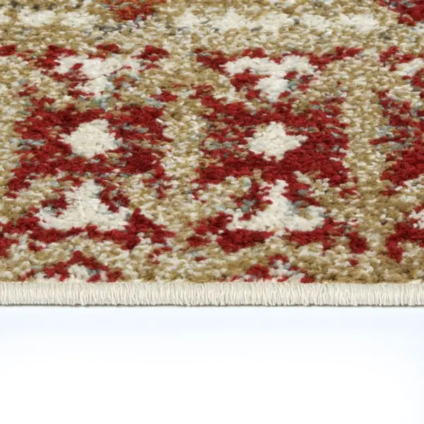 5 x 8 Medium Gold and Red Area Rug - Kavon-3