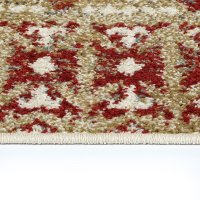 5 x 8 Medium Gold and Red Area Rug - Kavon-3