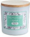 Refresh 15oz Eucalyptus and Mint Aromatherapy Candle - Candle Warmers