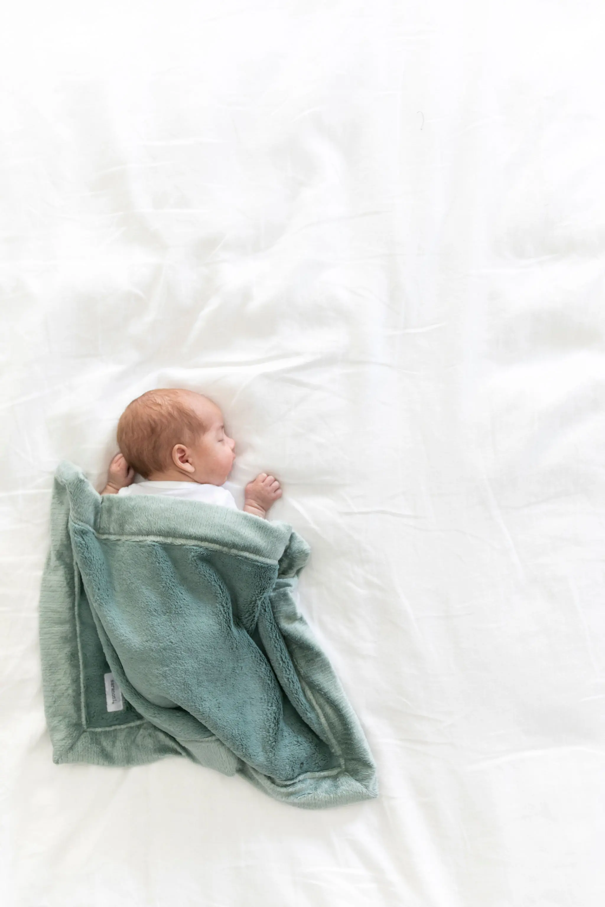 Eucalyptus Green Lush Mini Baby Blanket-2