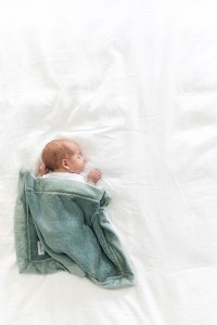 Eucalyptus Green Lush Mini Baby Blanket-2