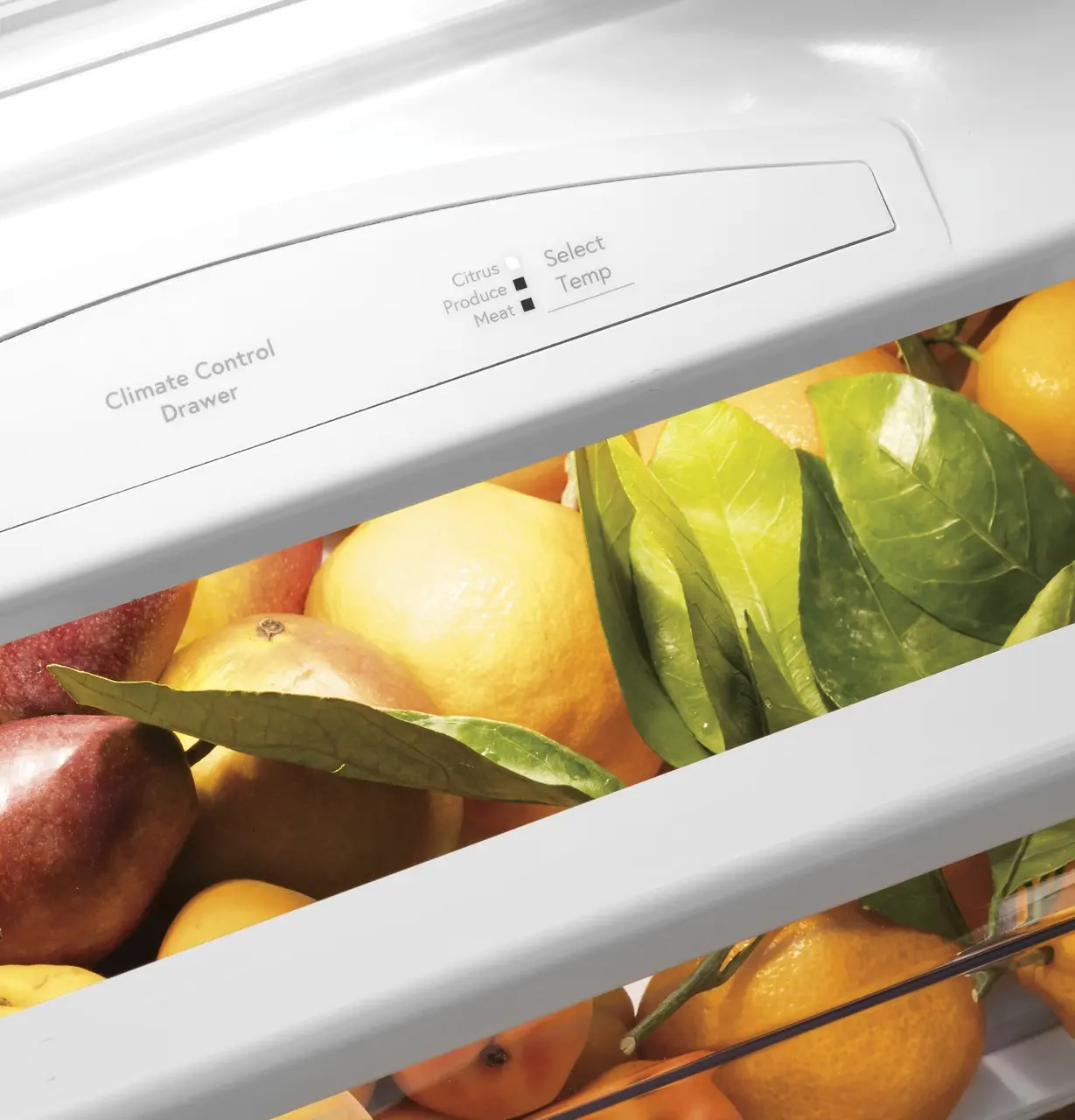 PSB48YSNSSS GE Profile 28.7 cu ft Built in Side by Side Refrigerator - 48 W Stainless Steel-7