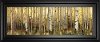 Forest Light Framed Print Wall Art