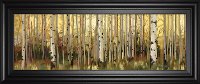 Forest Light Framed Print Wall Art-1