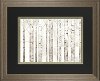 Birch Trees on White Framed Print Wall Art