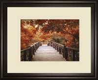 Footbridge Print Framed Wall Art-1