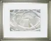 Coolness Framed Print Wall Art