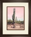 Pink Cactus Framed Print Wall Art