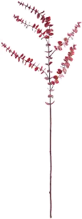 44 Burgundy Faux Eucalyptus Branch for Arrangement