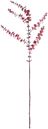 44 Inch Burgundy Faux Eucalyptus Branch for Arrangement