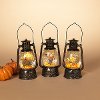 Assorted 8 Inch Bronze Lighted Spinning Water Globe Lantern