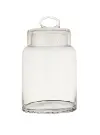 Clearance 9 Inch Glass Container with Lid