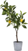 Faux Green Tree with Lemons Arrangement in Cement Pot