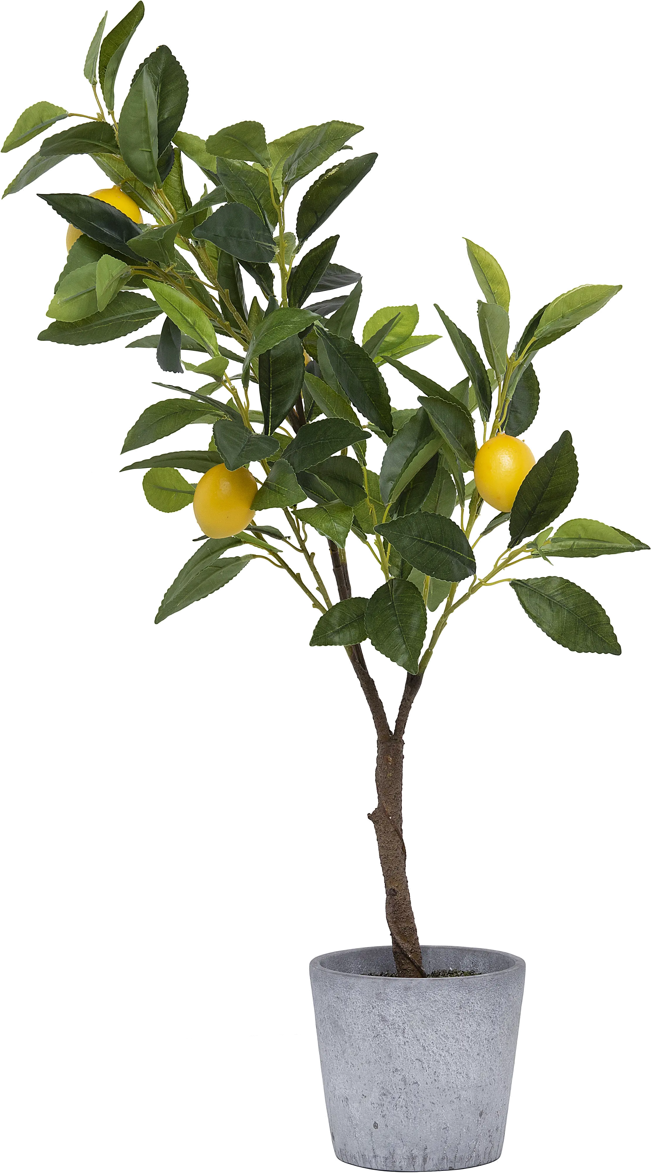 Faux Green Tree with Lemons Arrangement in Cement Pot-1
