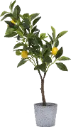 Faux Green Tree with Lemons Arrangement in Cement Pot