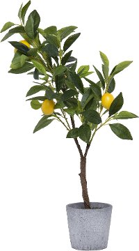 Faux Green Tree with Lemons Arrangement in Cement Pot