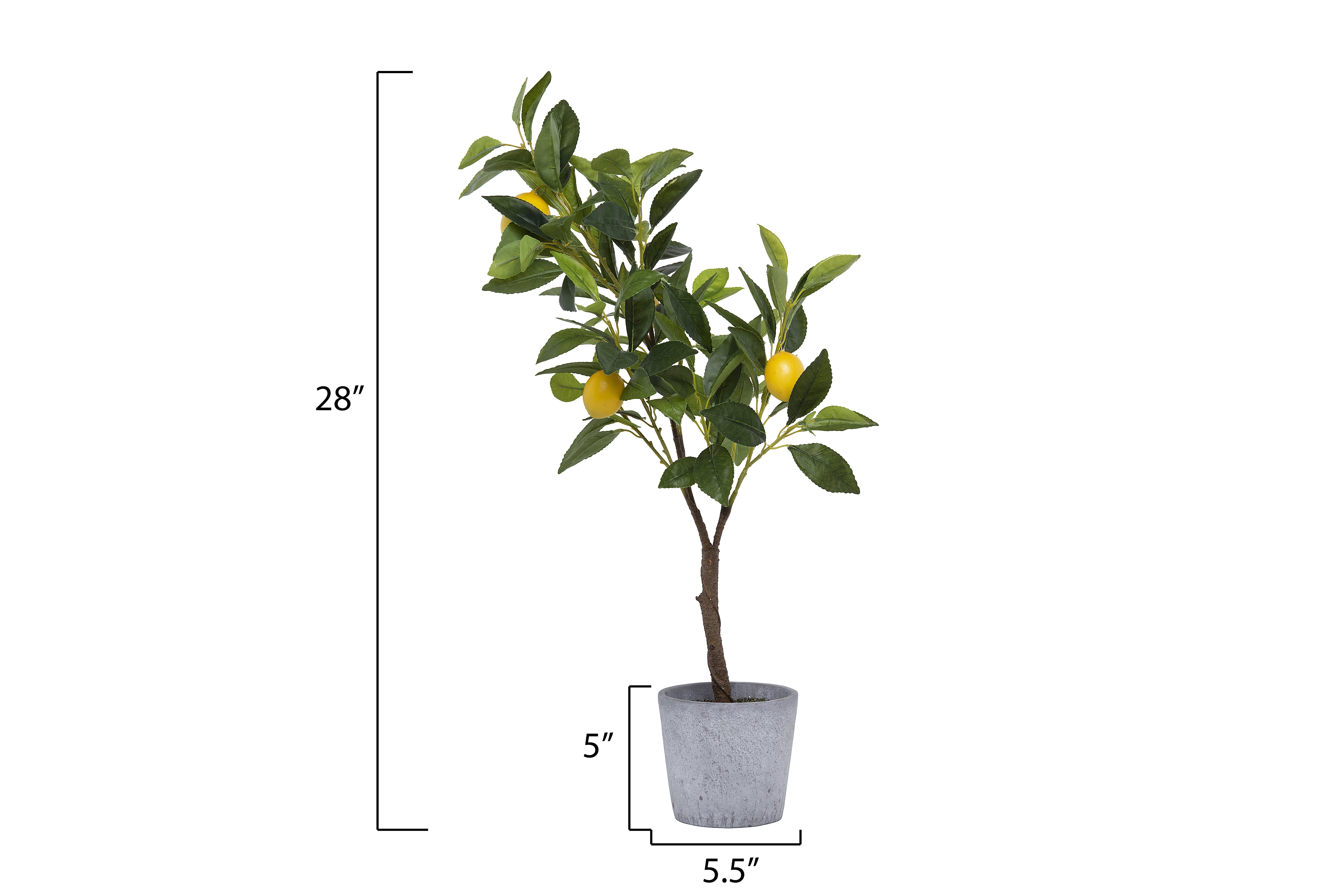 Faux Green Tree with Lemons Arrangement in Cement Pot-4