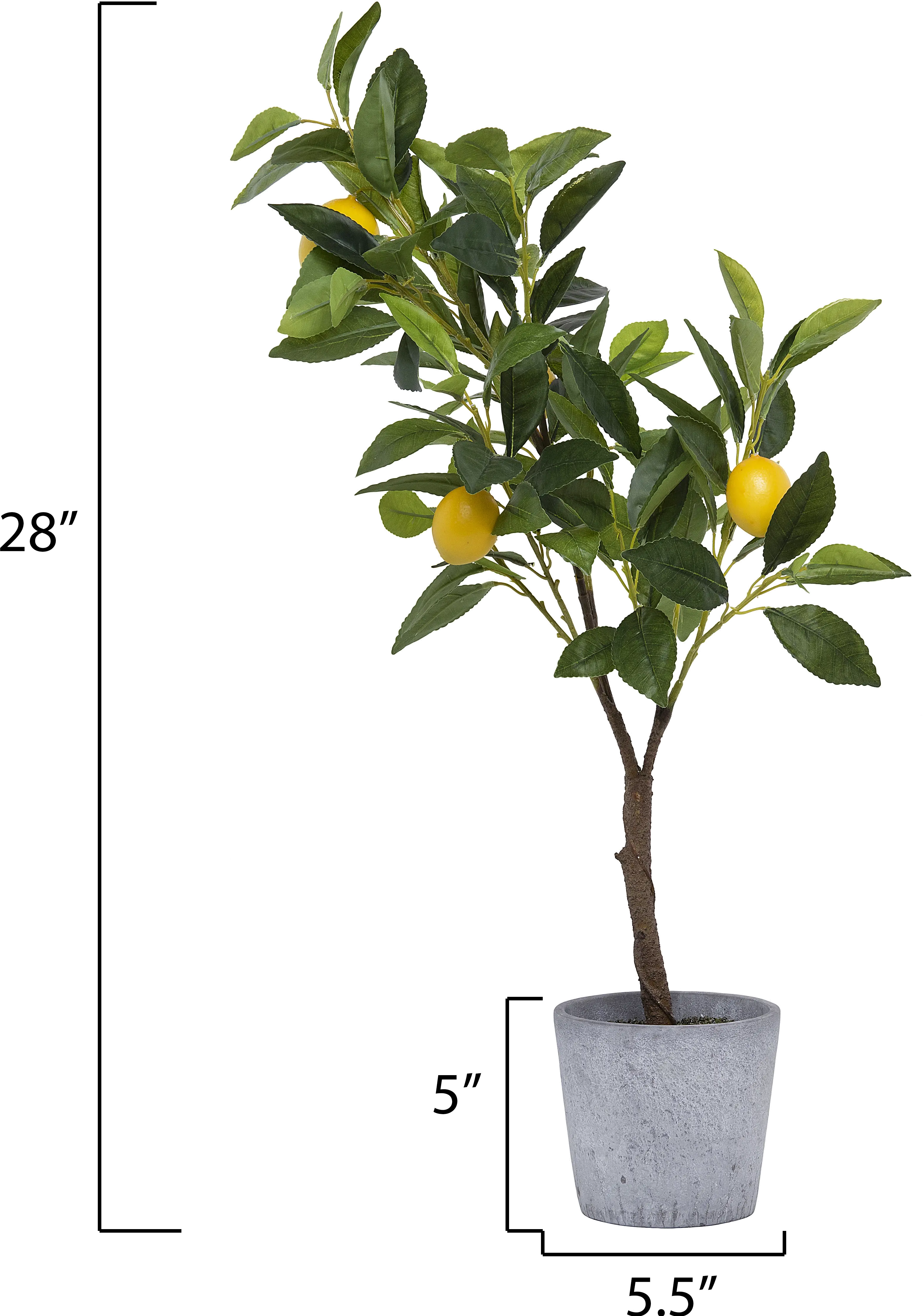 Faux Green Tree with Lemons Arrangement in Cement Pot-4