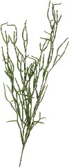 41 Inch Faux Succulent Pick for Arrangement