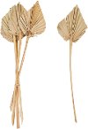 Faux Dried Palm Bunch Spear Cut for Arrangement