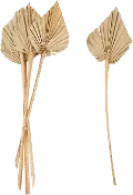 DF2229/PALMBUNCH Faux Dried Palm Bunch Spear Cut for Arrangement