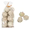 Handmade Dried Natural Palm Leaf Artichokes in Bag