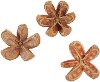 Dried Natural Achiote Flowers in Bag