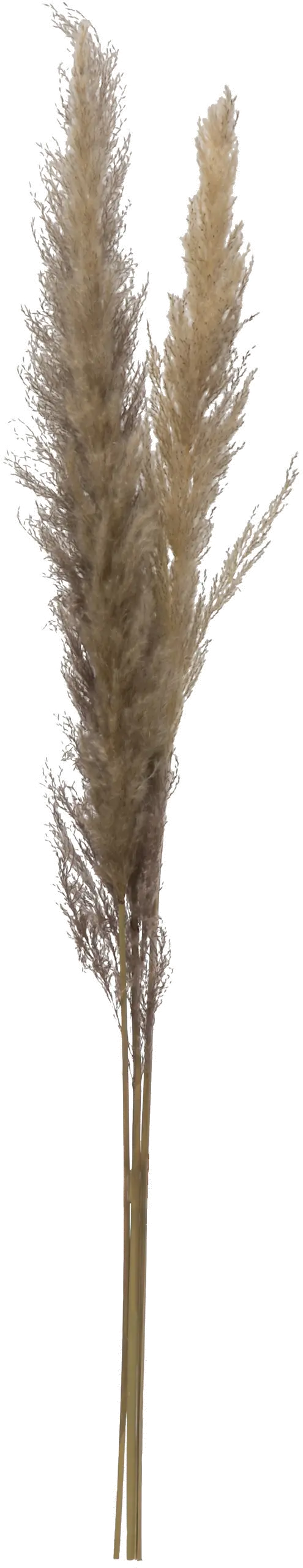 43 Inch Dried Brown Faux Pampas Grass Bunch-1