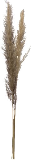 43 Inch Dried Brown Faux Pampas Grass Bunch