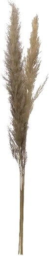 43 Inch Dried Brown Faux Pampas Grass Bunch