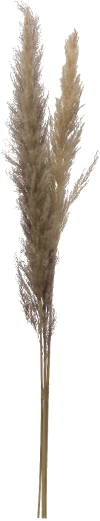 43 Inch Dried Brown Faux Pampas Grass Bunch