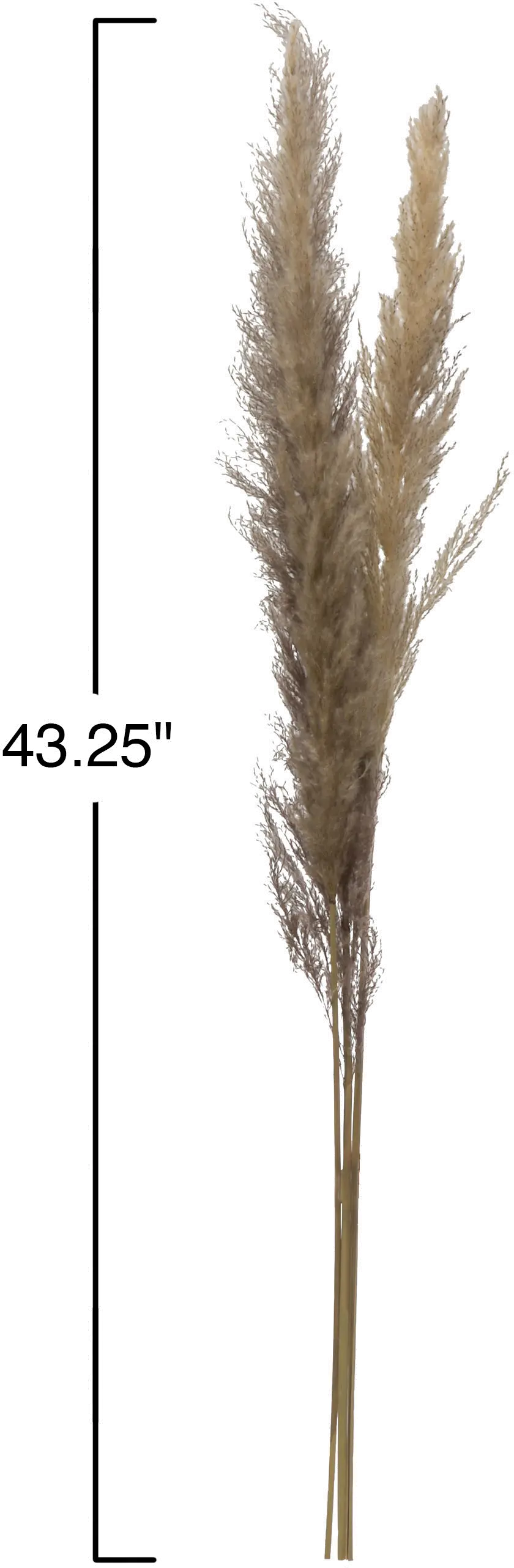 43 Inch Dried Brown Faux Pampas Grass Bunch-2