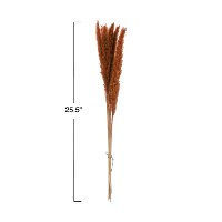 Dried Natural Pampas Grass Branch for Arrangement-2