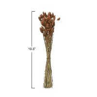 Dried Natural Canary Grass Bunch for Arrangement-2