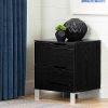 12134 Contemporary Black Nightstand - Kanagane