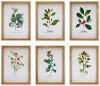 Assorted Winter Foliage Framed Artwork