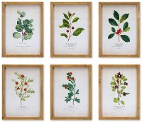 Assorted Winter Foliage Framed Artwork