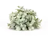 Green and White Faux Orb Arrangement