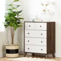 12180 Yodi Modern Walnut Brown and White Chest of Drawers